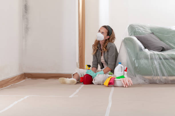 Reliable Mold Cleanup contractor in South Mills, NC by WQB Mold Removal